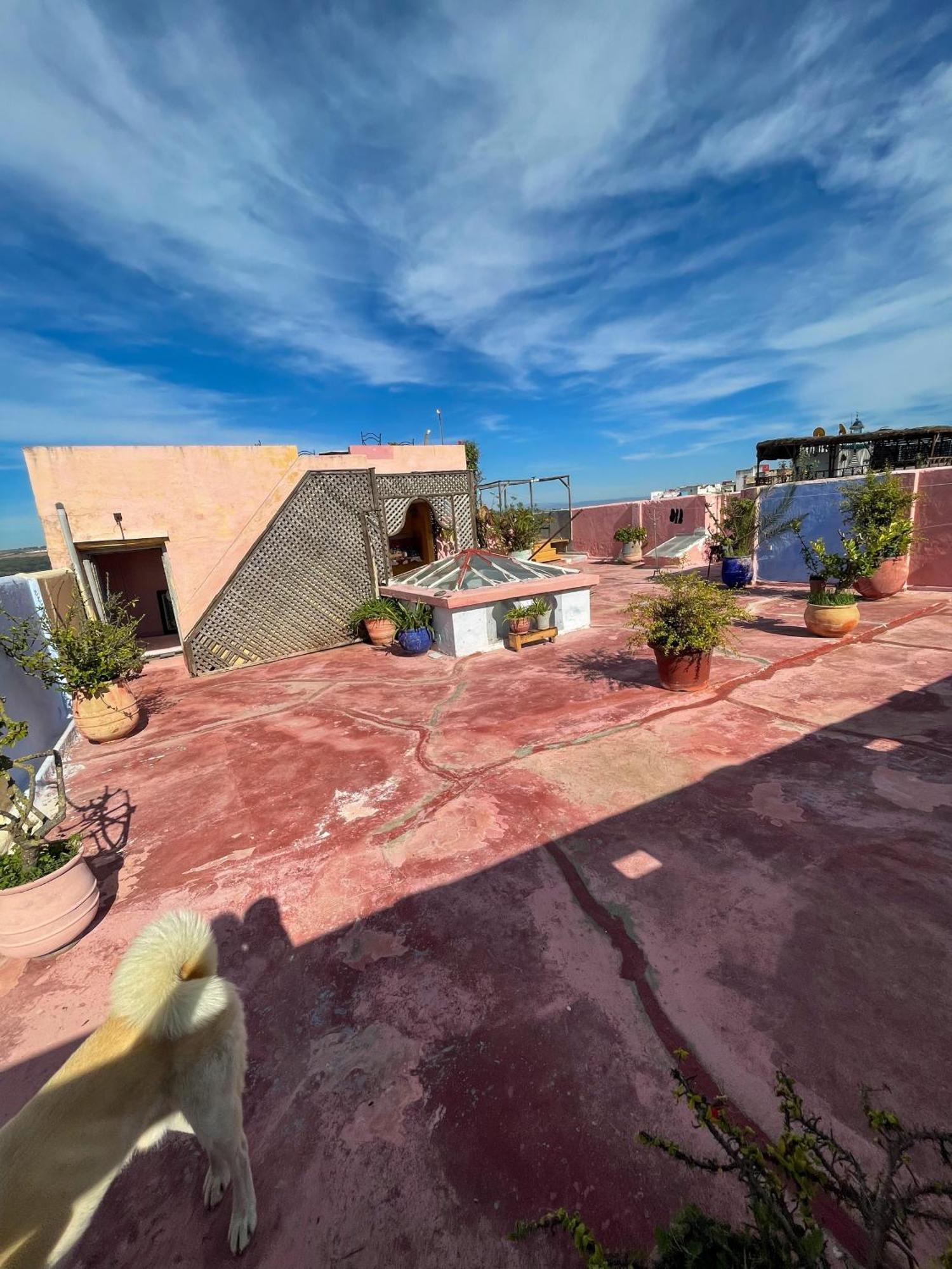La Maison Haute Larache Morocco المظهر الخارجي الصورة